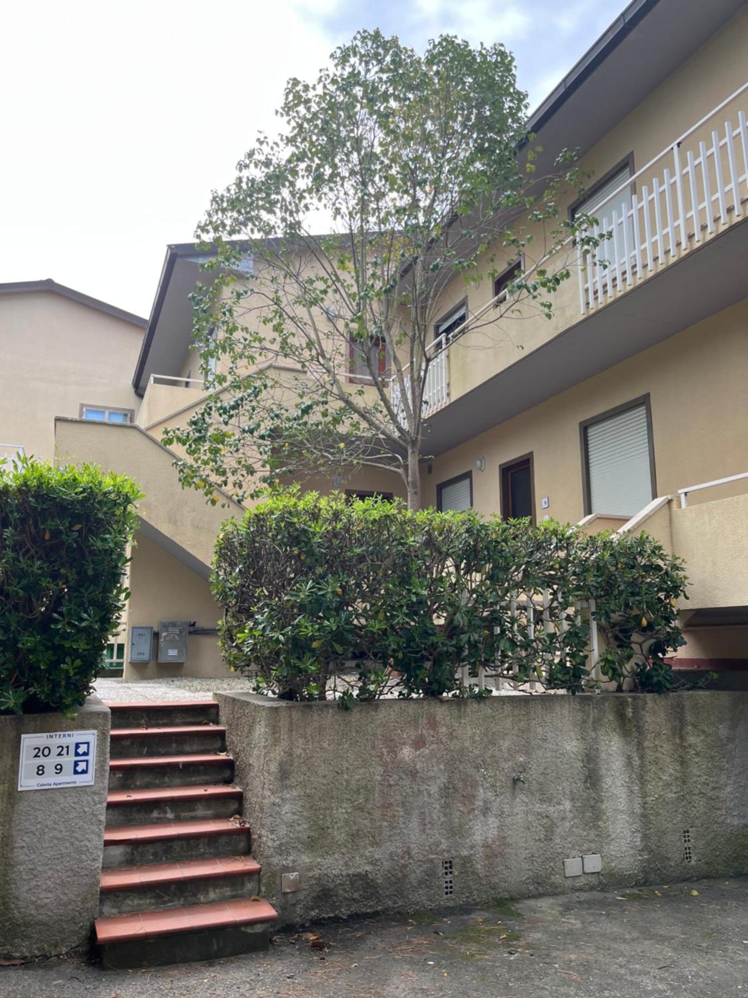 Caletta Apartments Castiglioncello Eksteriør bilde